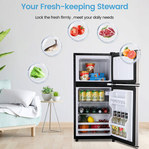 Jeremy Cass 3.5-cu ft with Freezer ( Silver ) ENERGY STAR