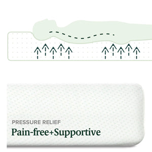 Zinus 6″ Green Tea Memory Foam Mattress, Queen