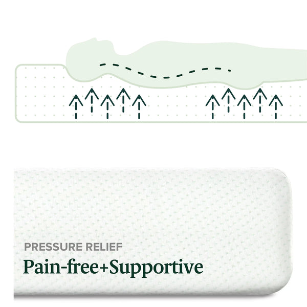 Zinus 6″ Green Tea Memory Foam Mattress, Queen