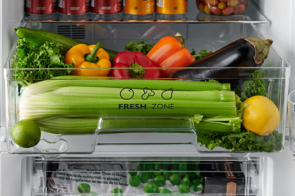 iio Retro-Mod RM1 11-cu ft Standard-Depth Bottom-Freezer Refrigerator Black ) ENERGY STAR Certified